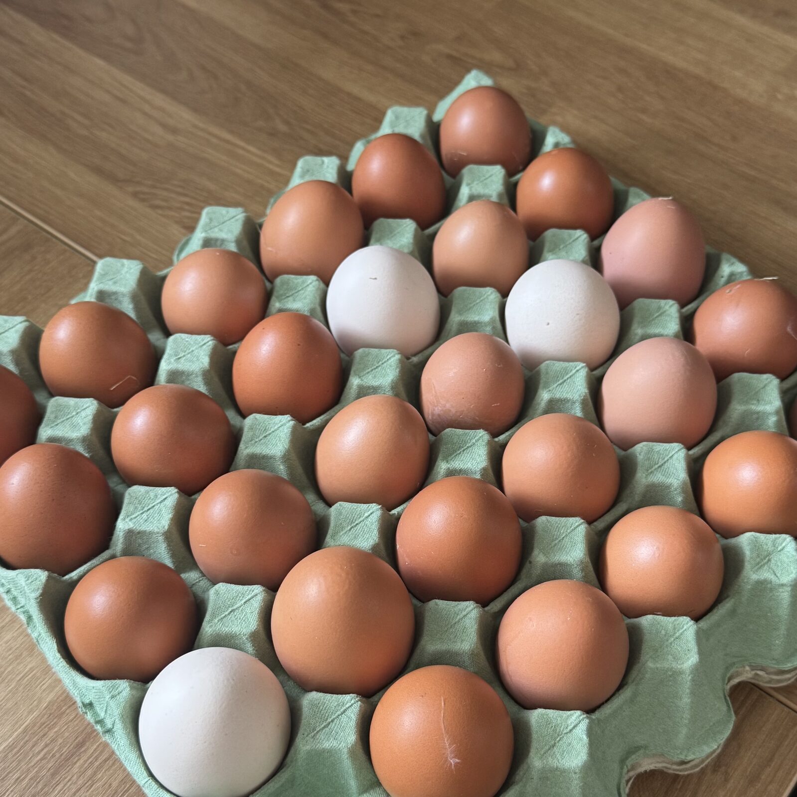 Eggbrett med brune og fargede egg fra gården