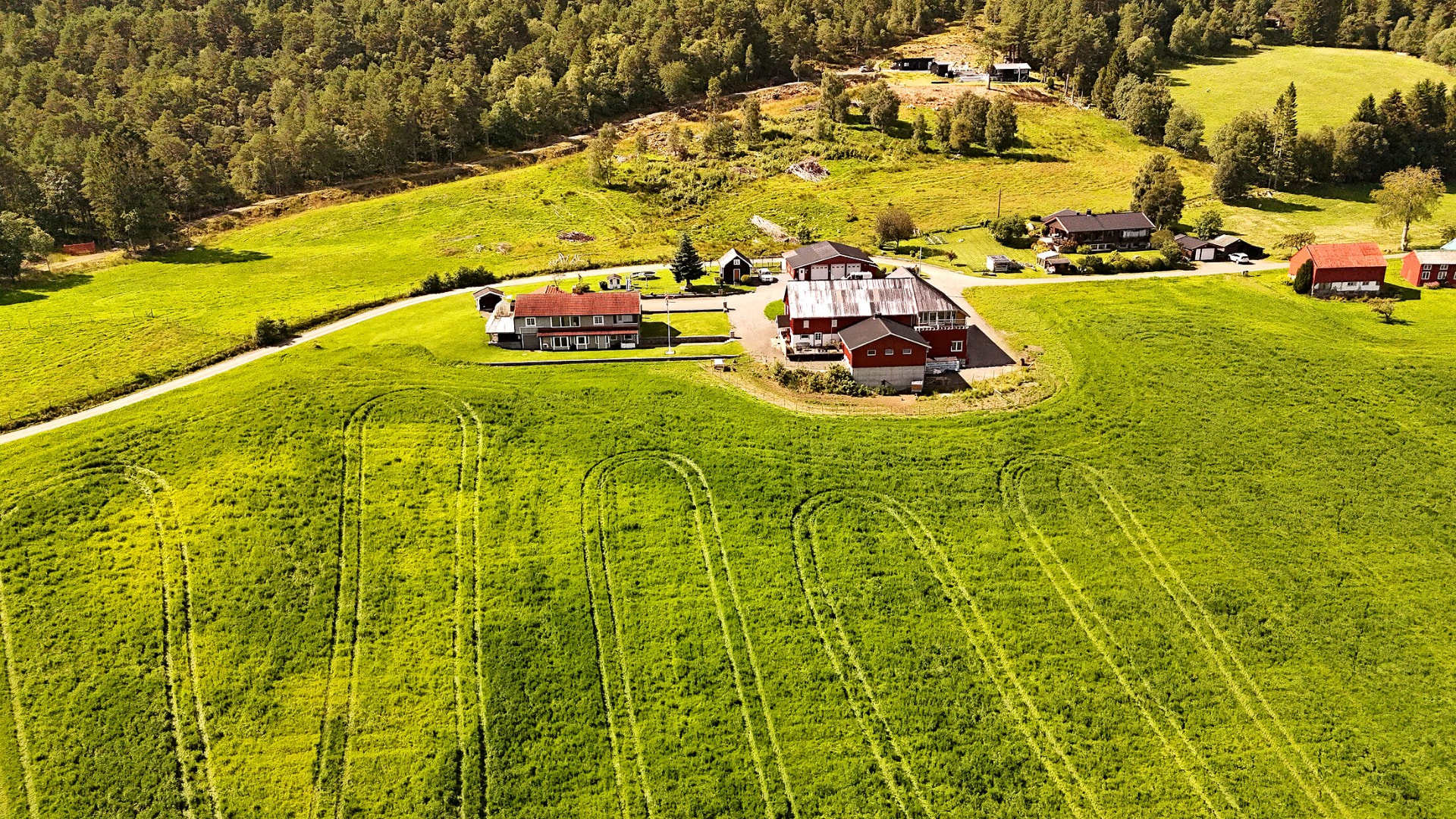 Flyfoto av Texas Gård på haugen med grønne jorder og skog i Hustadvika