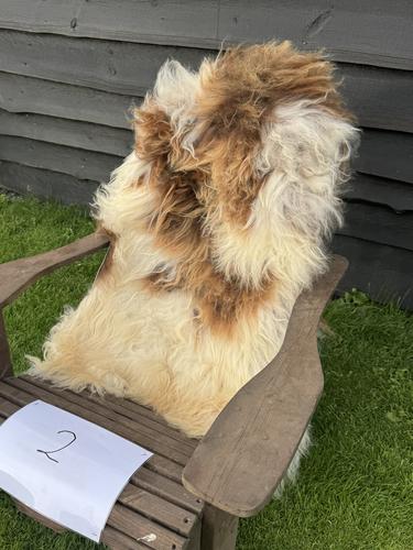 Saueskinn nr. 2, fra villsau – Hvitt/brunt, størrelse Xl, Texas Gård i Hustadvika – miniatyr 2